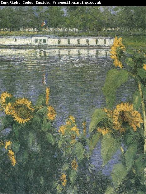 Gustave Caillebotte The sunflowers of waterside